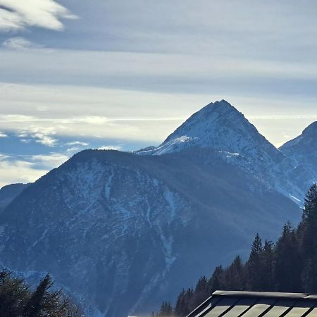 Apartamento L' Antica Casa Di Maria Lilia Pieve di Cadore Exterior foto