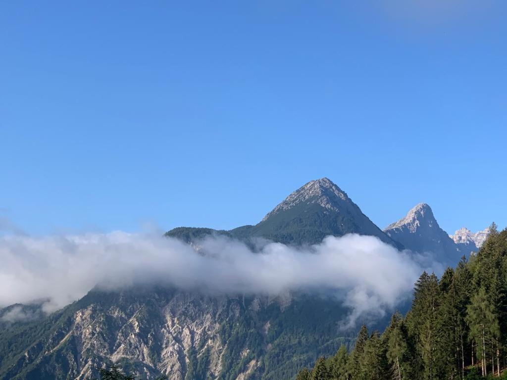 Apartamento L' Antica Casa Di Maria Lilia Pieve di Cadore Exterior foto